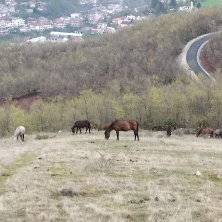 Village With National Park View